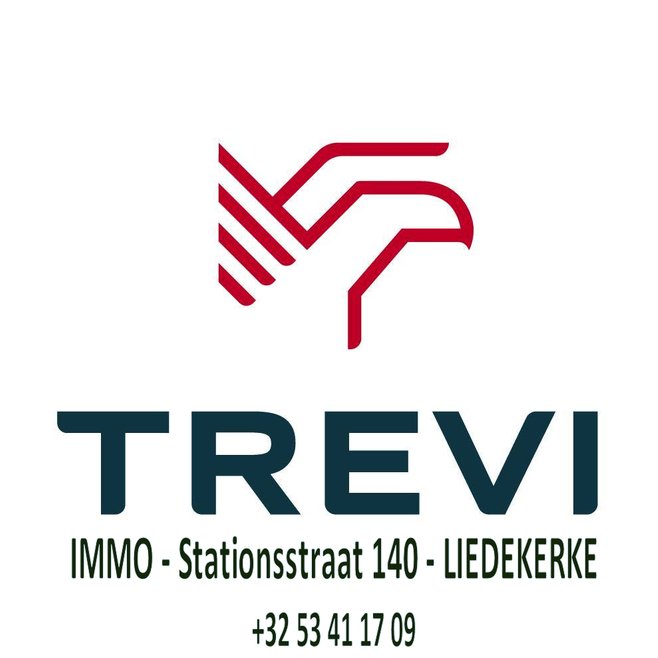 www.trevi.be